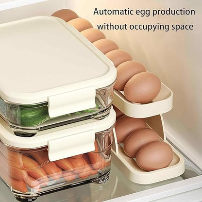 15 Egg Storage Box Rolling Design Space Saving
